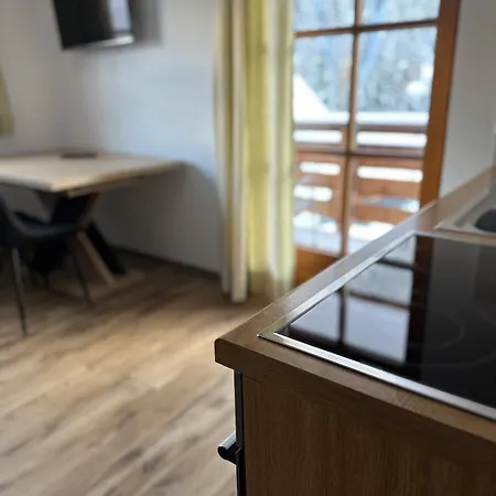 Steinbock Apartment Samnaun